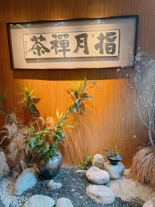 都市禅意，成都茶馆中的冥想之旅——一泡好茶叶的静心时刻