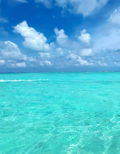 东北人新选择，从俄罗斯坐船回家的经济之旅的归途探索